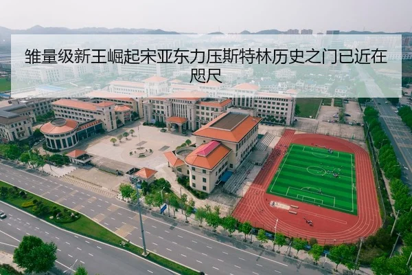 雏量级新王崛起宋亚东力压斯特林历史之门已近在咫尺