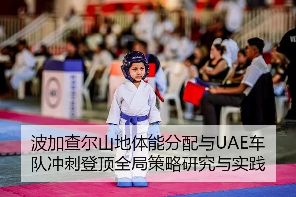 bo-jia-cha-er-shan-di-ti-neng-fen-pei-yu-che-dui-chong-ci-deng-ding-quan-ju-ce-lve-yan-jiu-yu-shi-jian-2-218.jpg